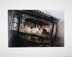 Image description is not available for 2008.057